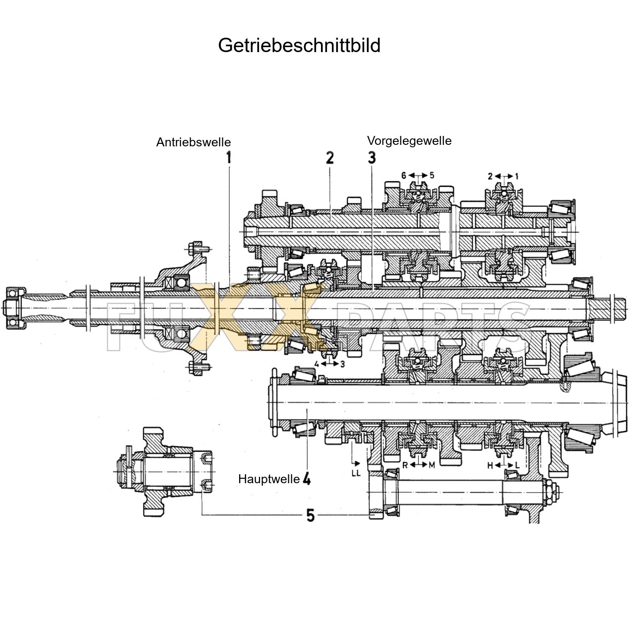 DX 80-78XX Getriebeschnittbild